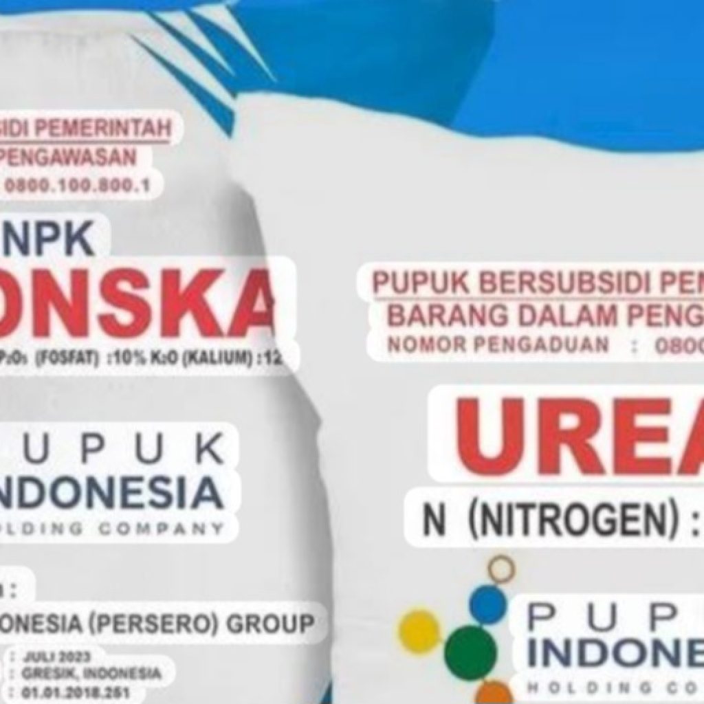 Screenshot_20251024_203526_Google